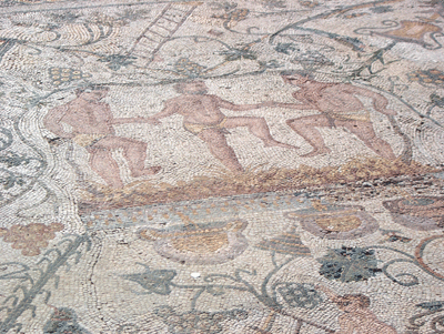 Casa do Anfiteatro: pormenor do mosaico da Pisa da Uva