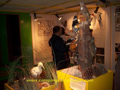 Visita ao museu da Reserva Natural das Dunas de S. Jacinto